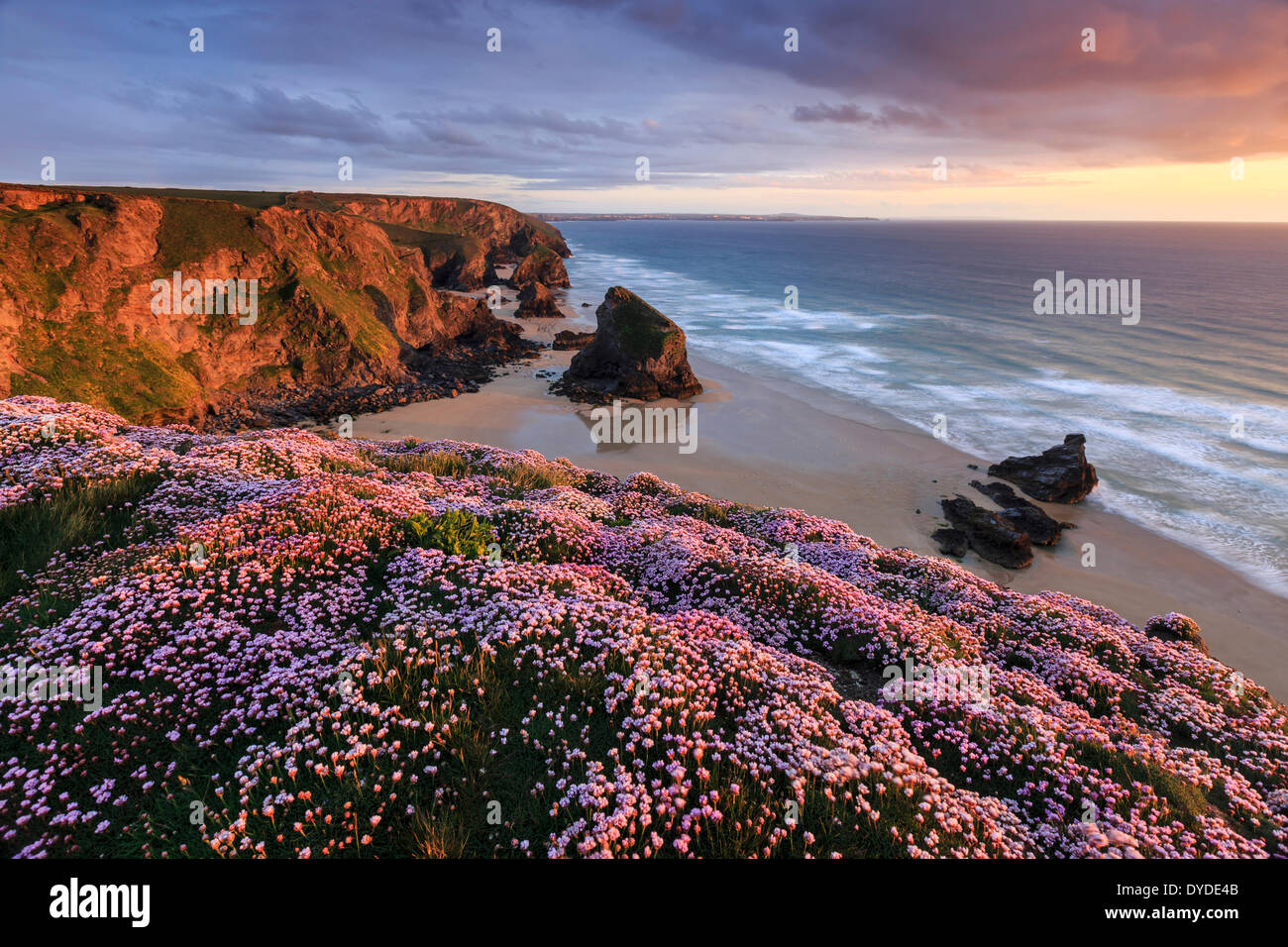 Tramonto dalla scogliera a Bedruthan Steps in Cornovaglia con parsimonia in primo piano. Foto Stock