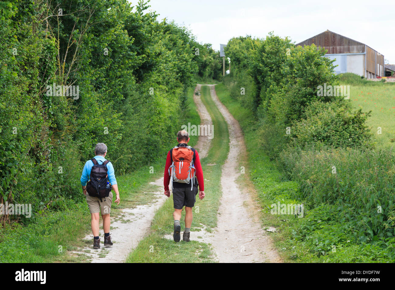 Ritardo medio di età compresa tra l uomo e la donna gli escursionisti in pantaloncini corti del paese sporco della pista con zaini. Foto Stock