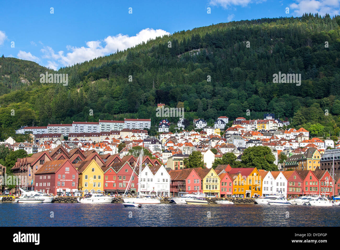 Una vista da attraverso il porto verso Bryggen e la città di Bergen. Foto Stock