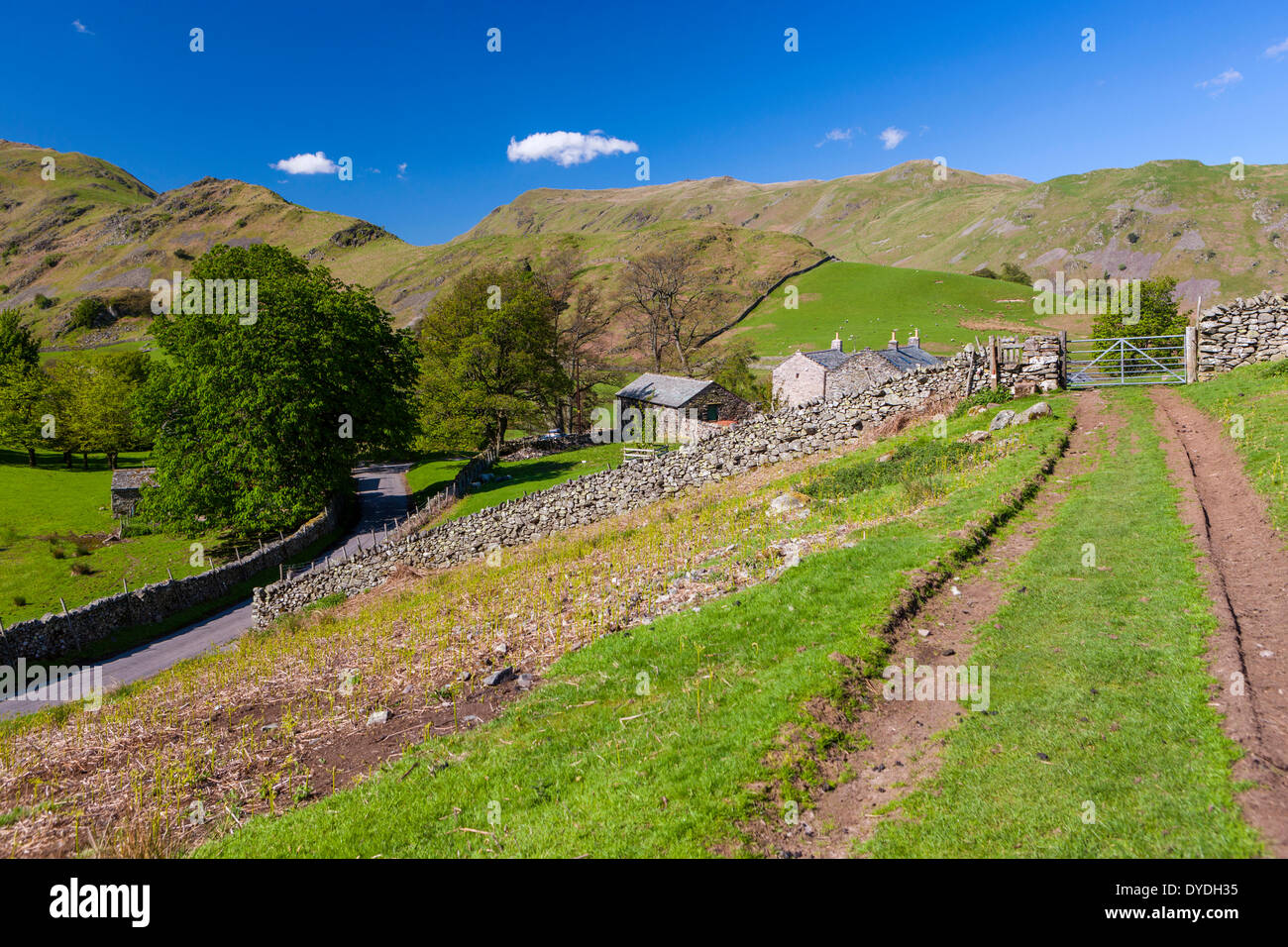 Una vista sul paesaggio rurale nel Parco Nazionale del Distretto dei Laghi. Foto Stock