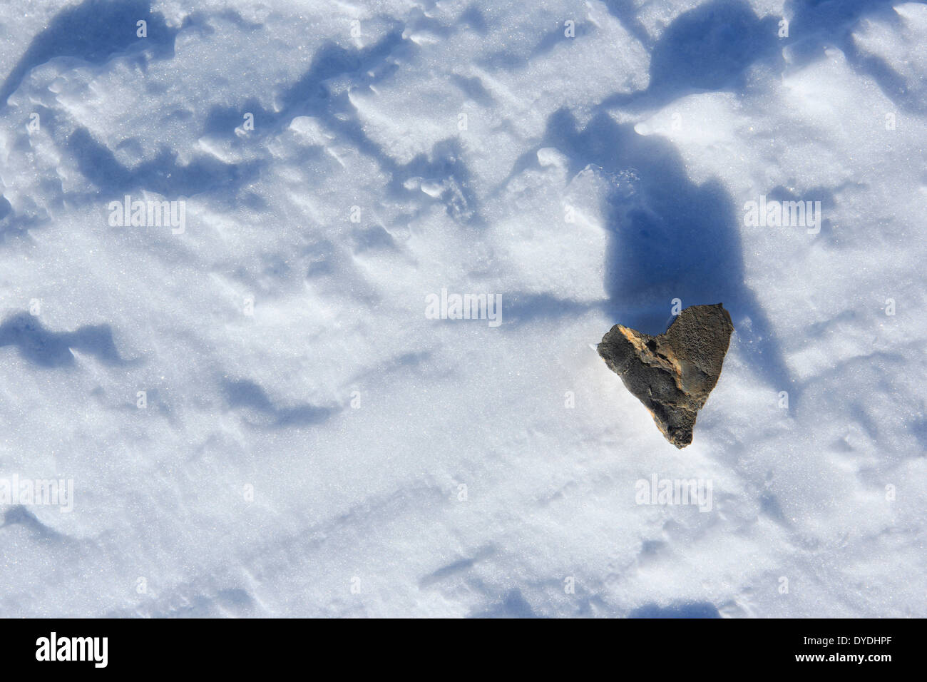 Dettaglio Herzförmig cuore cuore freddo forma macro close-up neve natura Svizzera Europa dettaglio pietra astratta invernale graphica Foto Stock