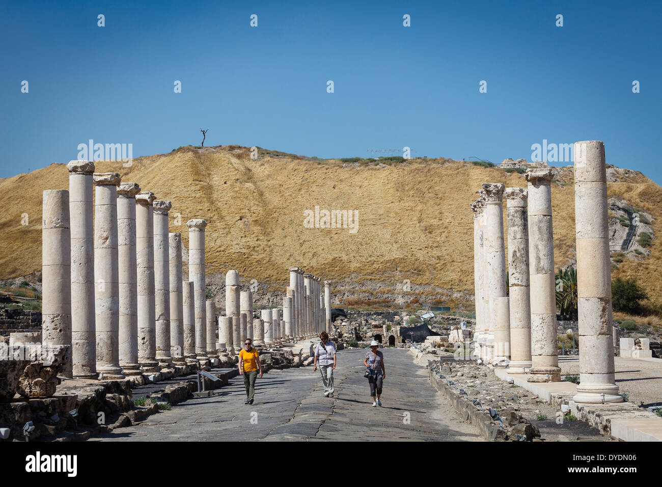Rovine della città Roman-Byzantine Scythopolis, Tel Beit Shean National Park, Beit Shean, Israele. Foto Stock