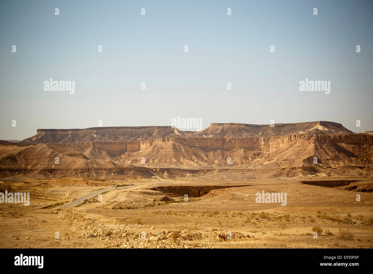 Il paesaggio del deserto nella regione del Negev, Israele. Foto Stock