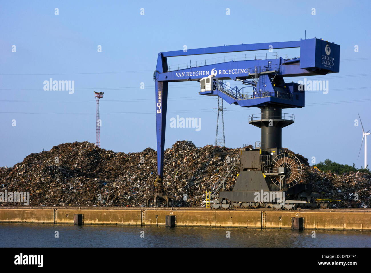 E-Gru, gru di scarto a Van Heyghen riciclaggio terminale di esportazione, porto di Gand, Fiandre Orientali, Belgio Foto Stock