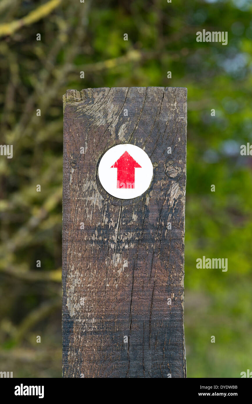 Un rosso la freccia direzionale su un sentiero segno NEL REGNO UNITO Foto Stock