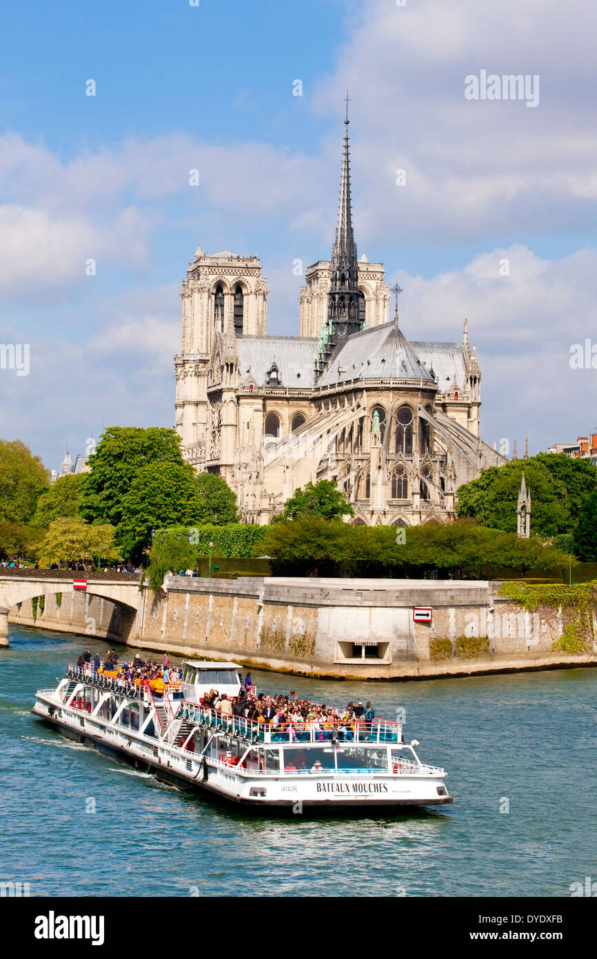 Cattedrale di Notre Dame de Paris, Francia Foto Stock