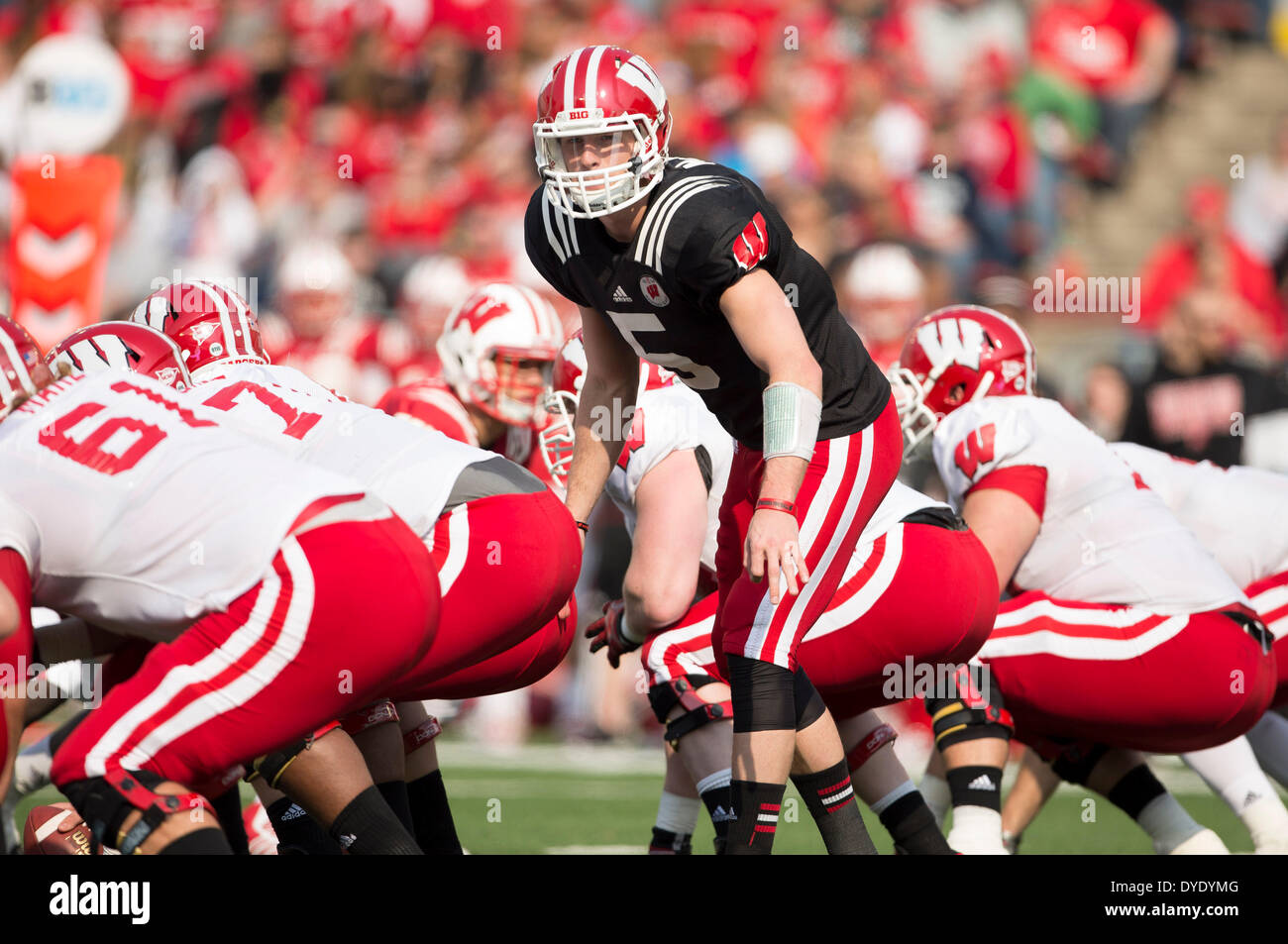 Madison, Wisconsin, Stati Uniti d'America. Xii Apr, 2014. Aprile 12, 2014: Wisconsin Badgers quarterback Tanner McEvoy durante l annuale Wisconsin Badgers molla del gioco del calcio presso il Camp Randall Stadium di Madison, WI. John Fisher/CSM/Alamy Live News Foto Stock