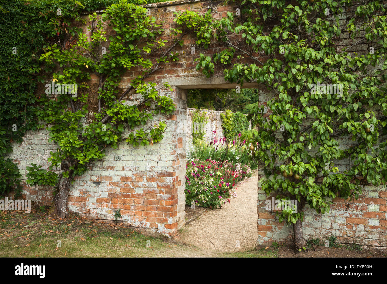 Spalliera pera e mela albero frame che cosa era una volta un vecchio giardino porta nelle mura di cinta orto di Rousham House in Oxfordshire, Inghilterra Foto Stock