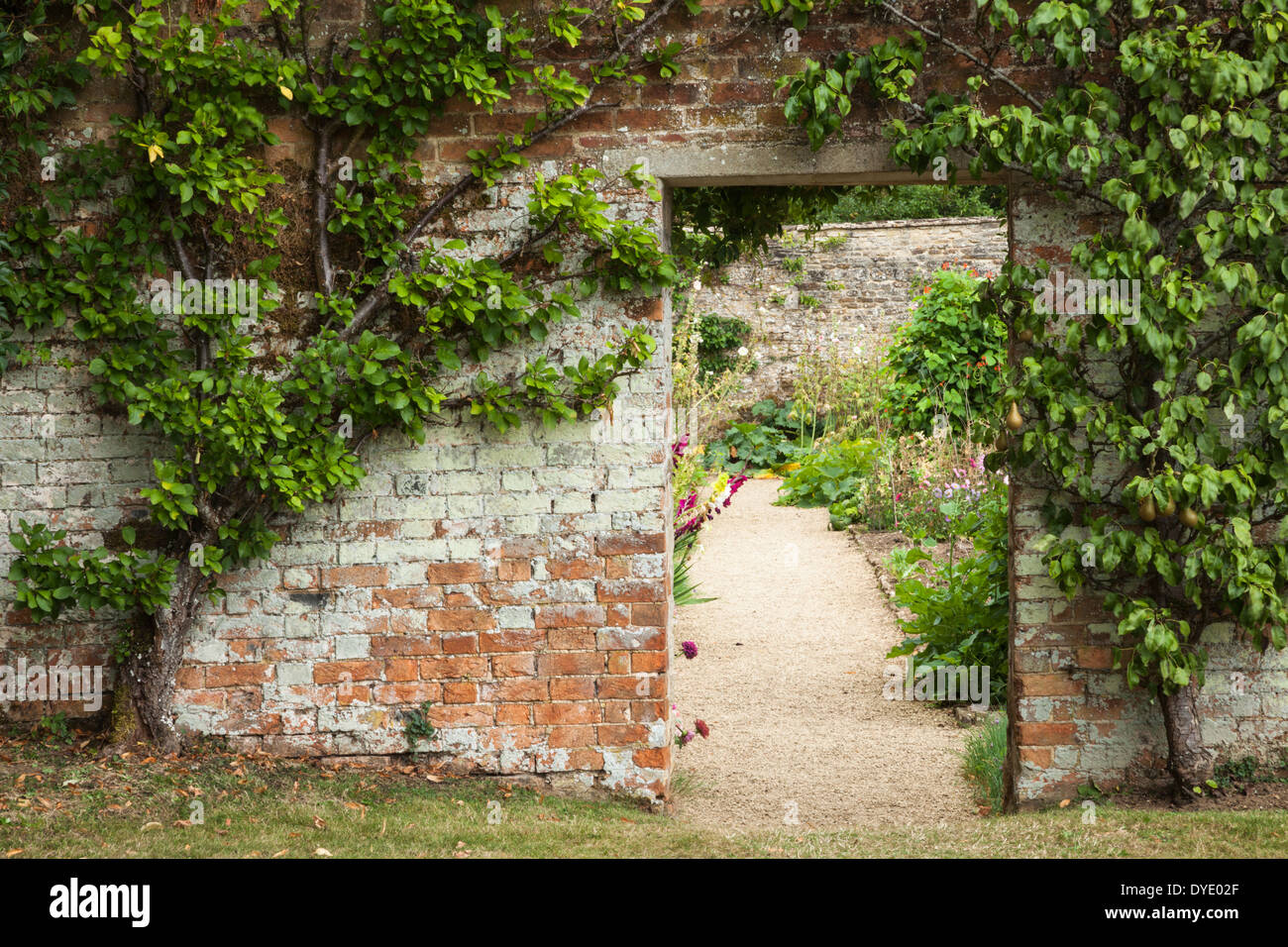 Spalliera pera e mela albero frame che cosa era una volta un vecchio giardino porta nelle mura di cinta orto di Rousham House in Oxfordshire, Inghilterra Foto Stock Spalliera pera e mela albero frame che cosa era una volta un vecchio giardino porta nelle mura di cinta orto di Rousham House in Oxfordshire, Inghilterra Foto Stock