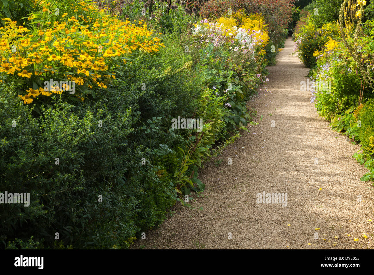 Un percorso di giardino all inizio di settembre costeggiata da piante erbacee frontiere con la tarda estate piante fiorite, Rousham House, Oxfordshire, Inghilterra Foto Stock