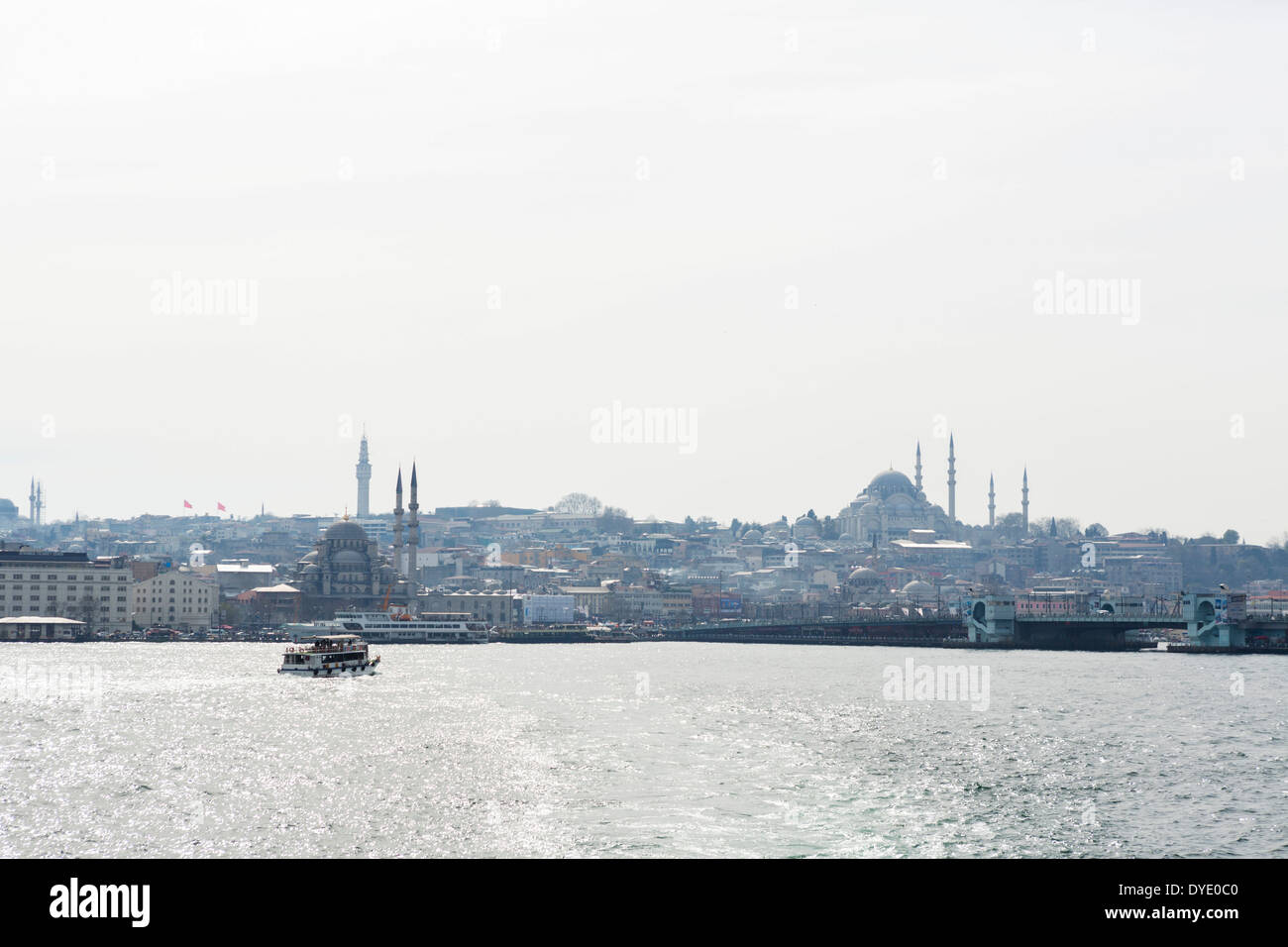 Vista di Sultanahmet e dal quartiere Eminonu waterfront dal ponte di una Sehir Hatlan crociera sul Bosforo, Istanbul, Turchia Foto Stock