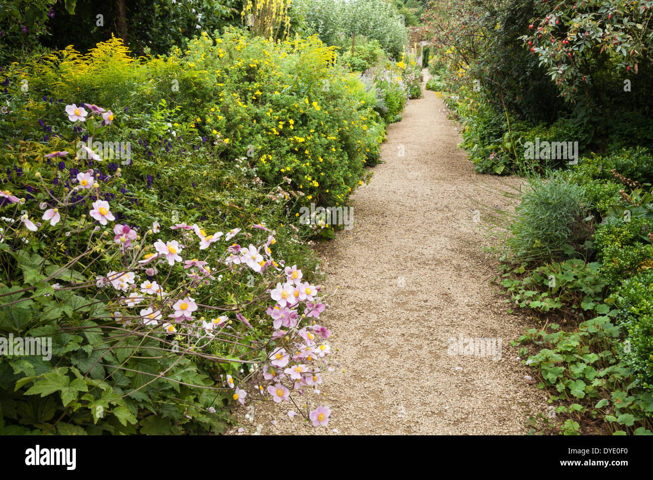 Un percorso di giardino all inizio di settembre costeggiata da piante erbacee frontiere con la tarda estate piante fiorite, Rousham House, Oxfordshire, Inghilterra Foto Stock