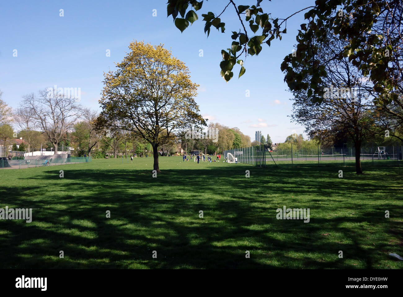 Ladywell campi spazio aperto, a sud di Londra Foto Stock