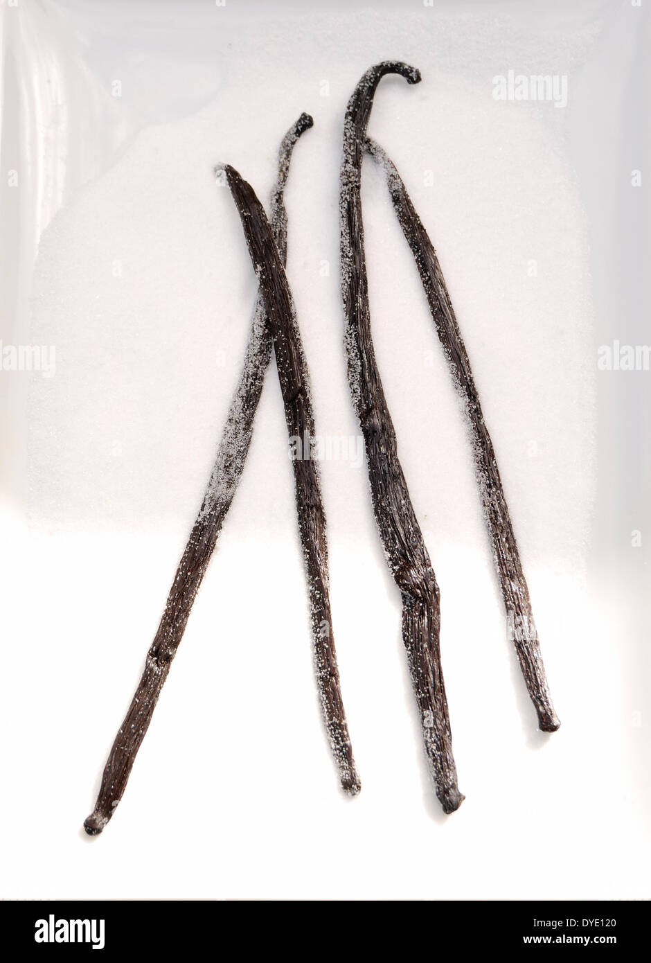 Madagascan baccelli di vaniglia Foto Stock