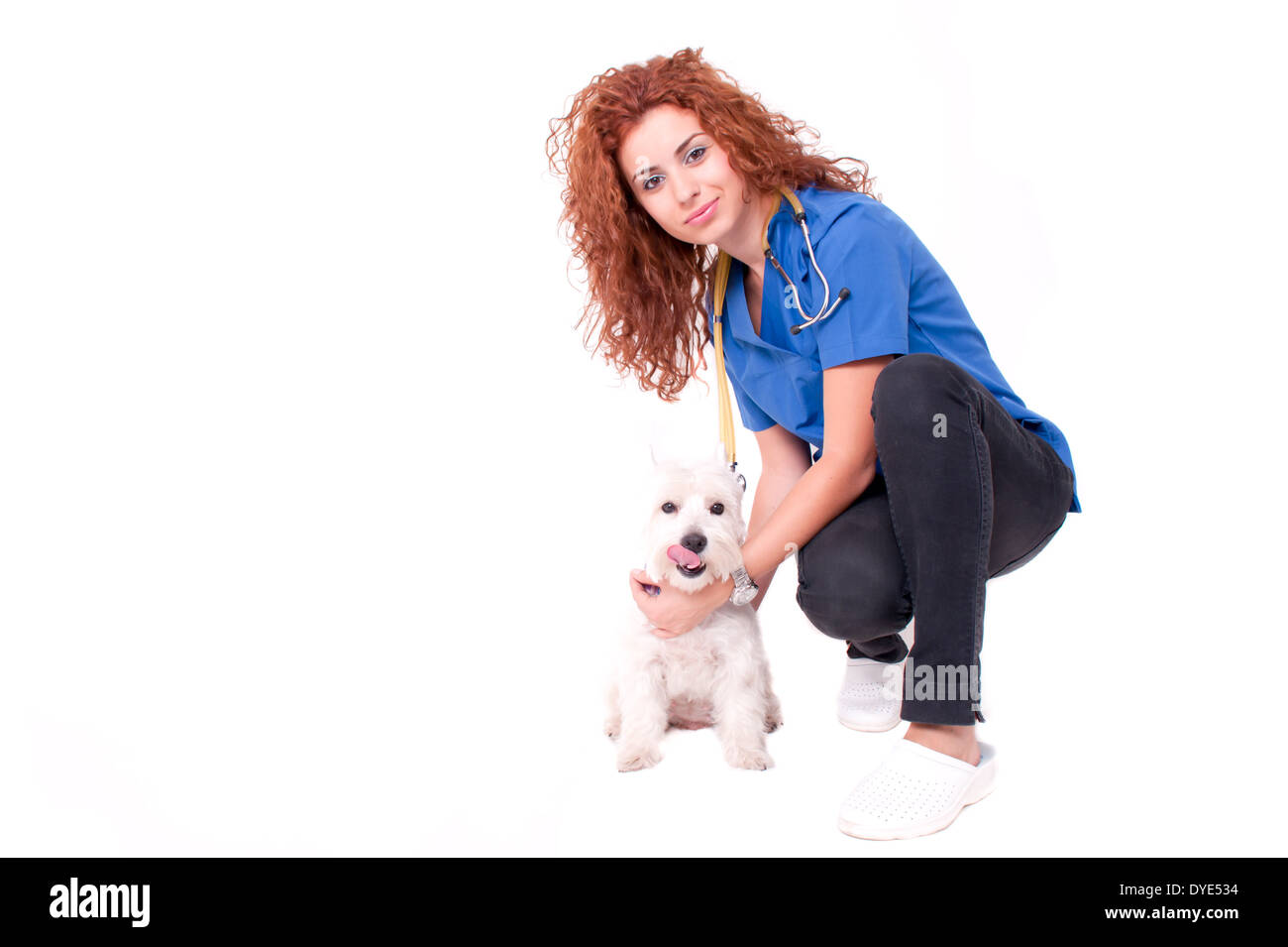 Veterinario di donna con cane Foto Stock