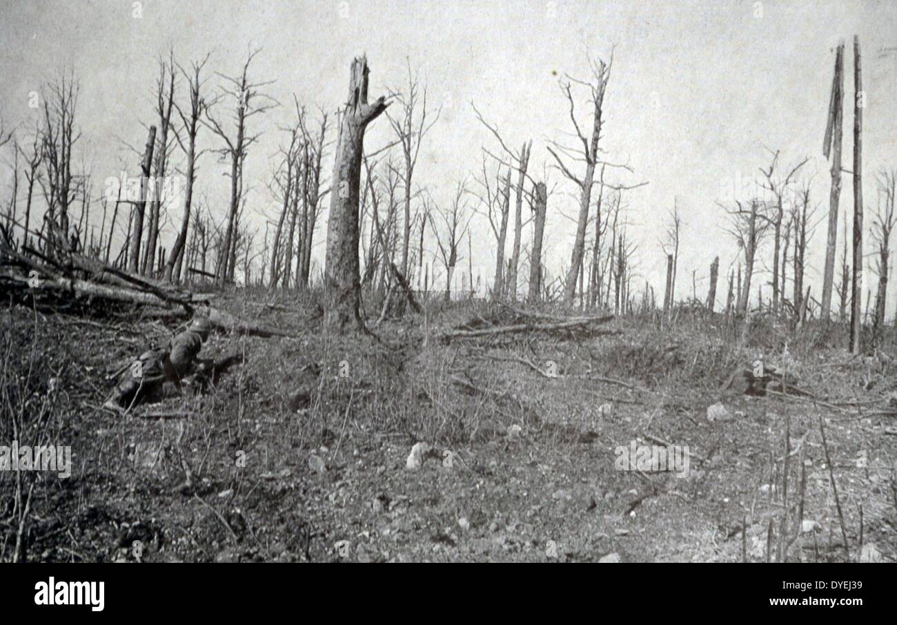 La prima guerra mondiale - catturato fanteria tedesca di riserve a Verdun 1916 Foto Stock