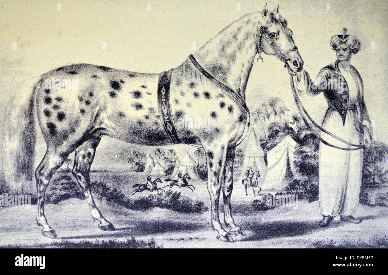 Currier & Ives illustrazione del XIX secolo. Una corretta la somiglianza del signor H Rockwell cavallo di Alexander, Bowery anfiteatro, New York Marzo 17, 1840 Foto Stock