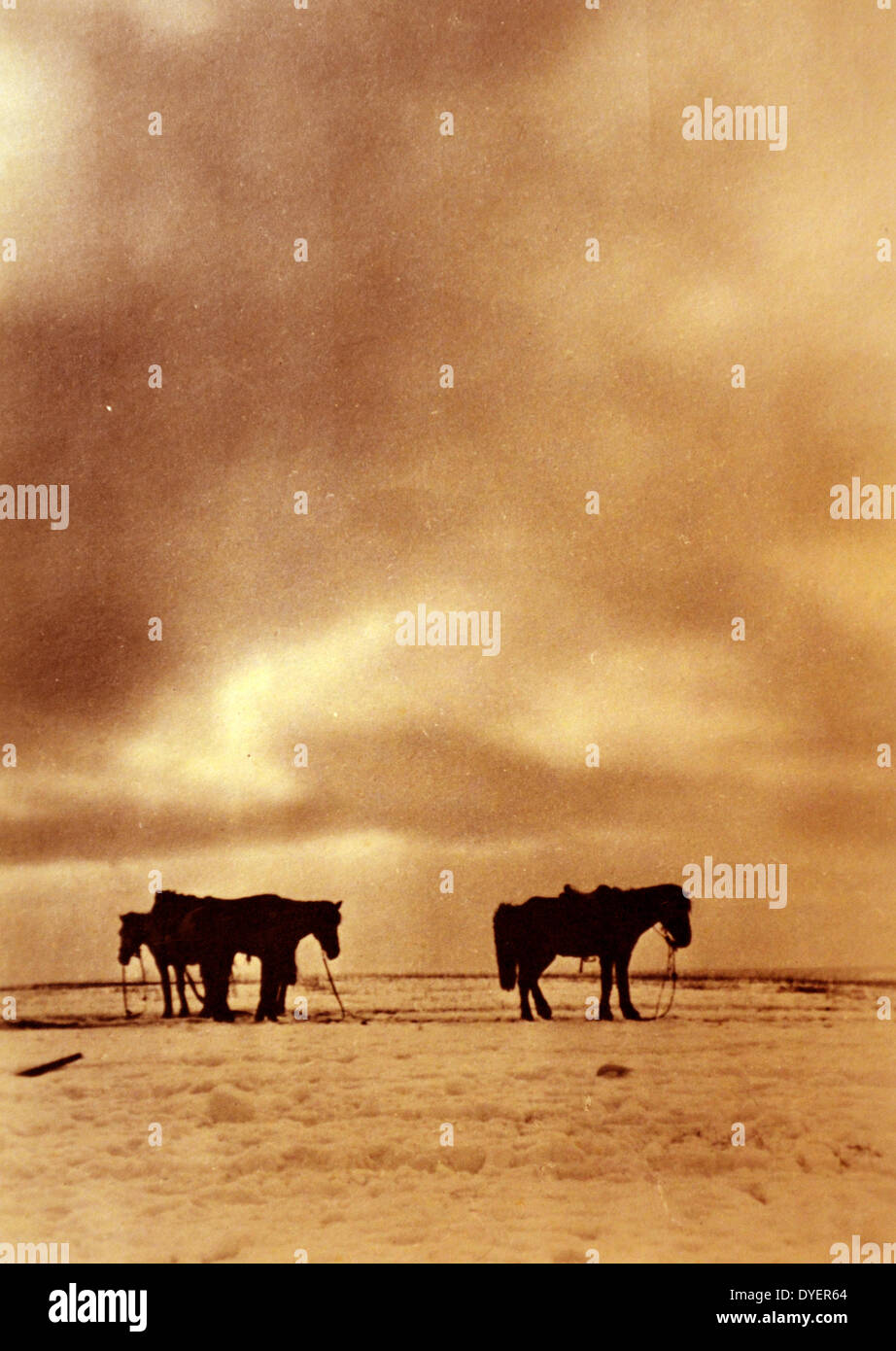 La Seconda Guerra Mondiale: azienda abbandonata con i cavalli a sinistra dietro come civili fuggono l'esercito tedesco durante il loro avanzamento in Russia 1941 Foto Stock