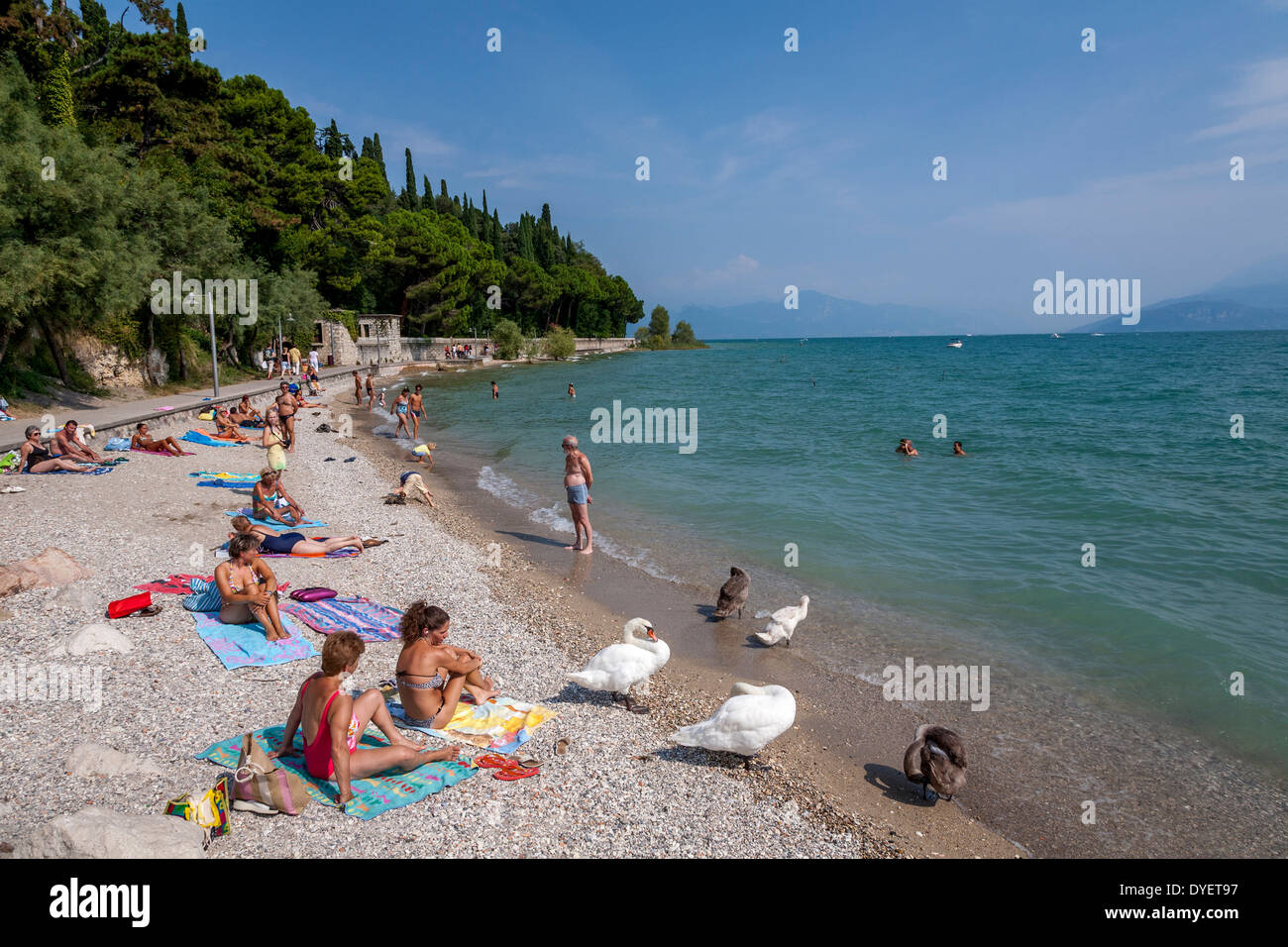 La spiaggia a Sirmione sul Lago di Garda, Italia Foto Stock