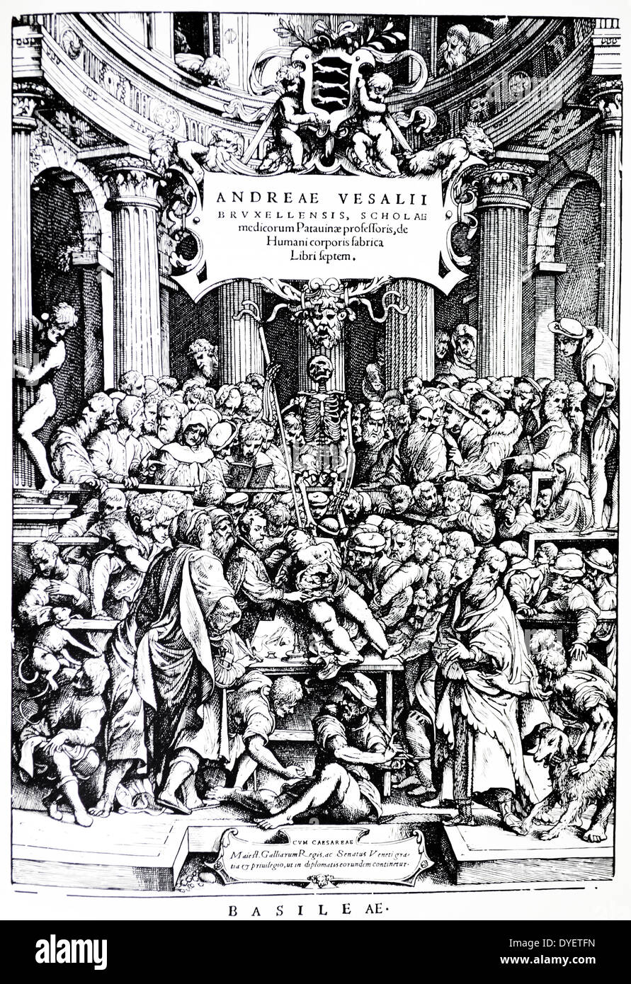 Titolo pagina per la prima edizione del 'De Humani Corporis Fabrica', di Andreas Vesalius, (1514-1564) piastra 2, 1543. Foto Stock
