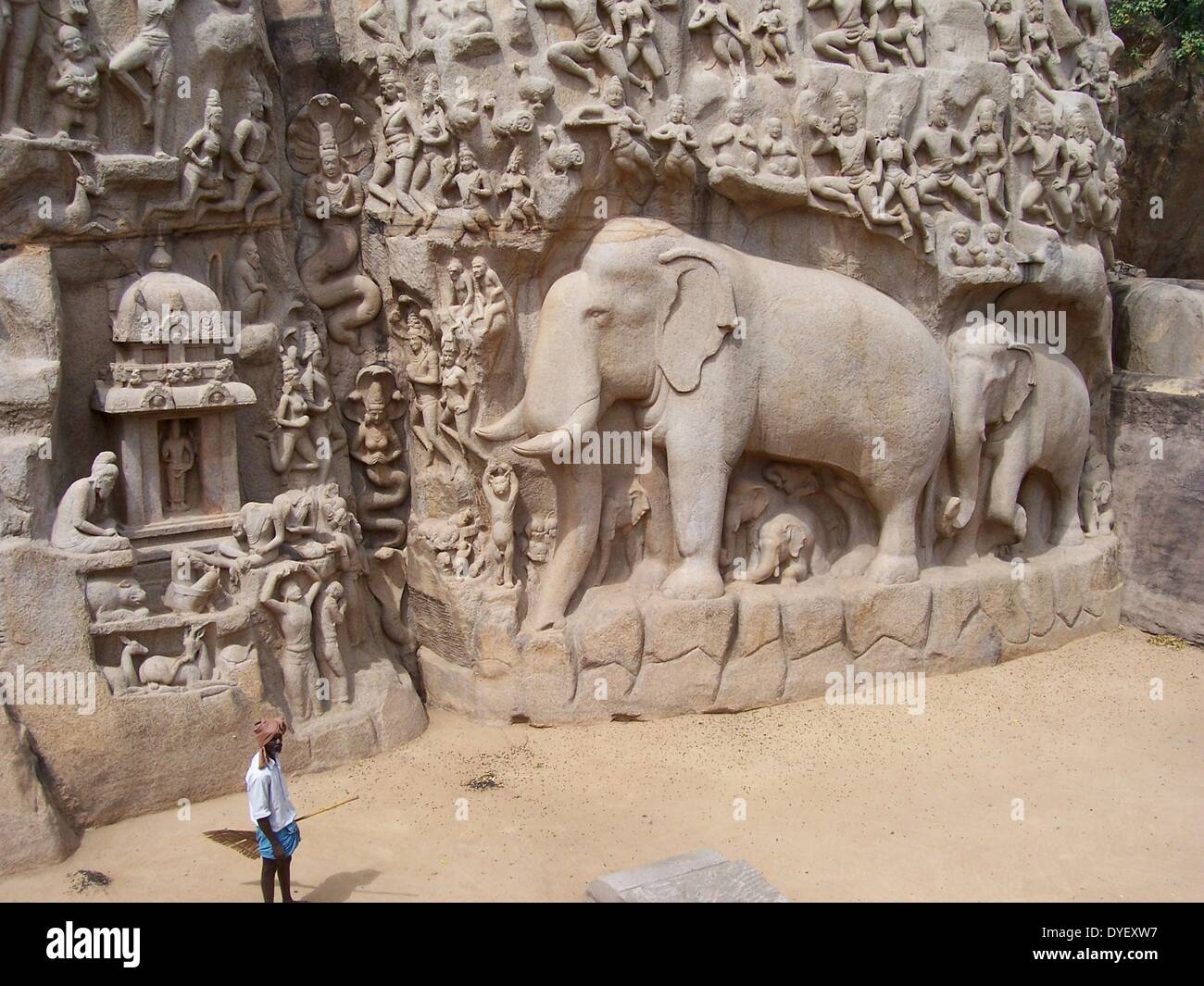 Bassorilievo figure noto come 'Arjuna la penitenza" raffigurante la epic-eroe in uno stato di auto-inflitte punizioni per compiacere il dio Shiva, presso il sito del Patrimonio Mondiale di Marmalapuram, a sud di Chennai (Madras), India. Foto Stock