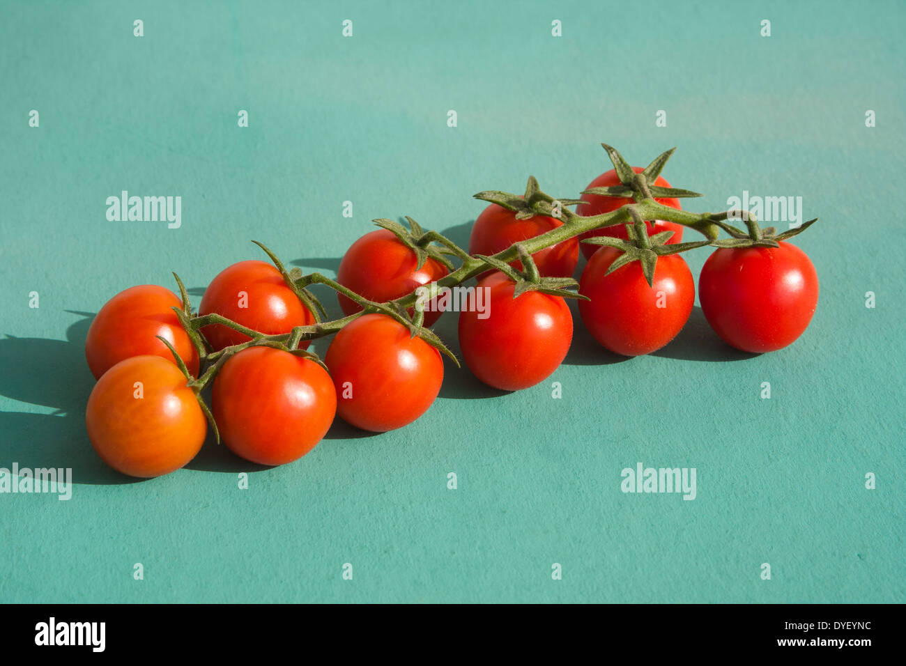 Rossi pomodori ciliegini su sfondo verde Foto Stock