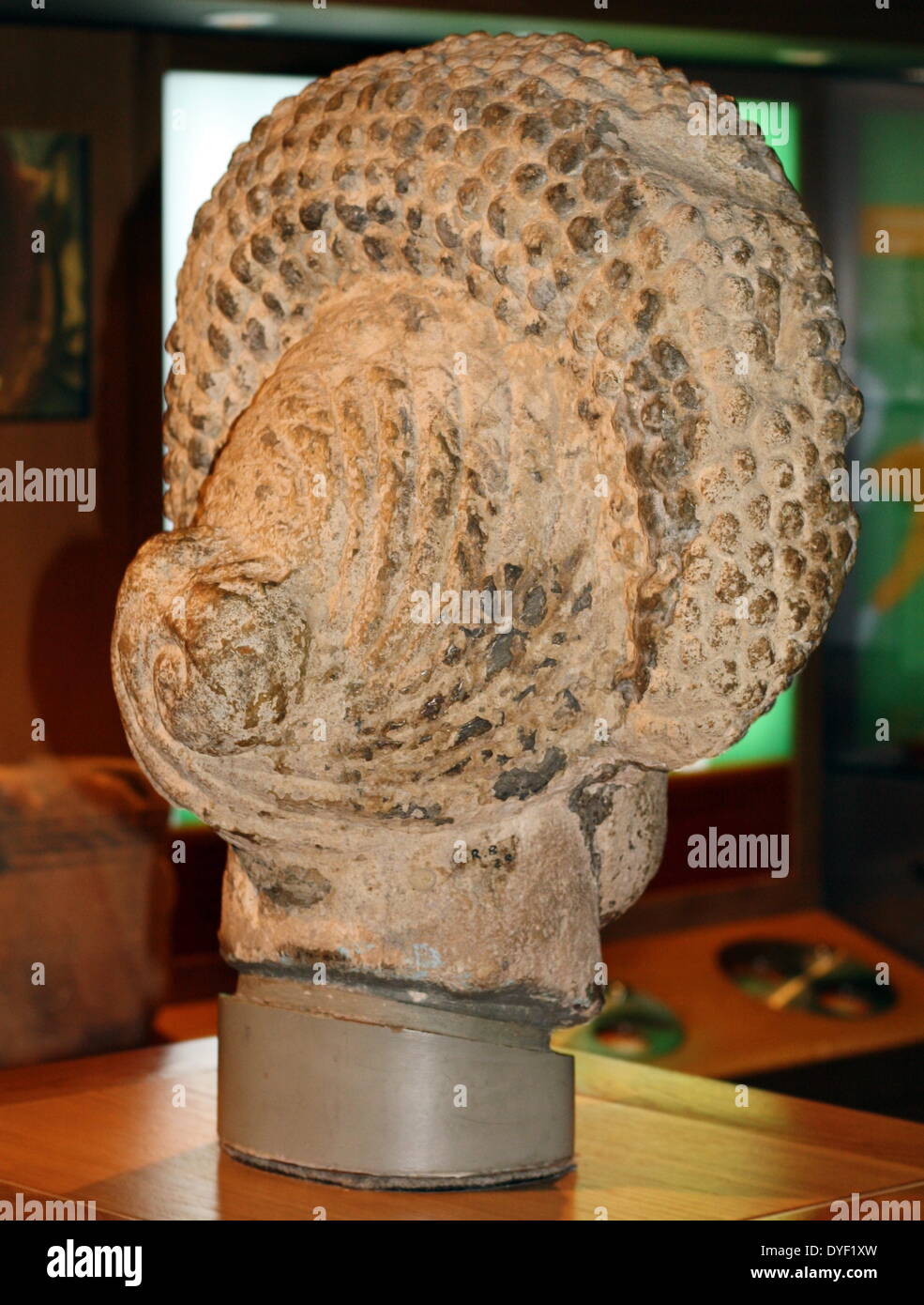 Testa scolpita di una signora. Molto probabilmente la tomba decorazione per una donna di ricchezza. L'acconciatura date in esso come a seguito del I secolo d.c. Roman. Foto Stock Testa scolpita di una signora. Molto probabilmente la tomba decorazione per una donna di ricchezza. L'acconciatura date in esso come a seguito del I secolo d.c. Roman. Foto Stock