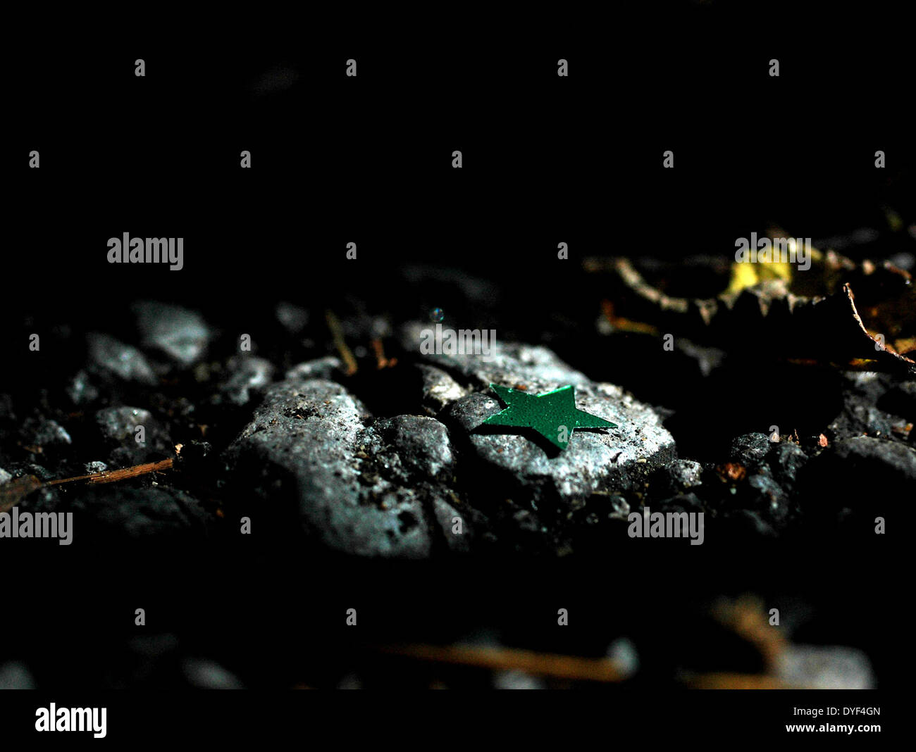 Fotografia macro di una stella verde su una roccia Foto Stock