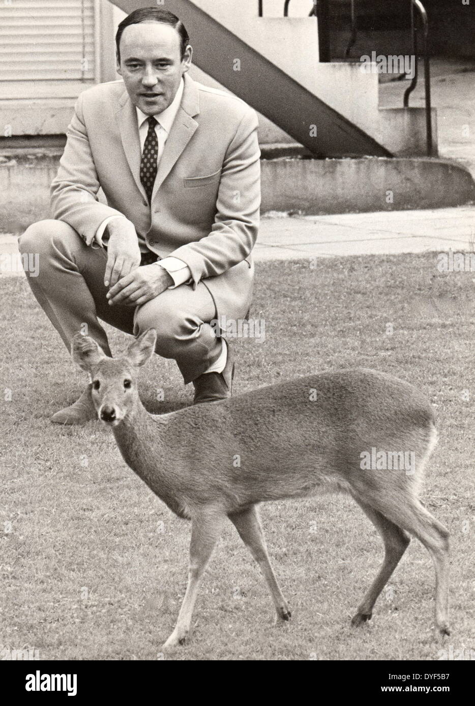 Desmond Morris nella sua casa di Barnet con pet acqua cinese di cervo. 1969. Foto Stock