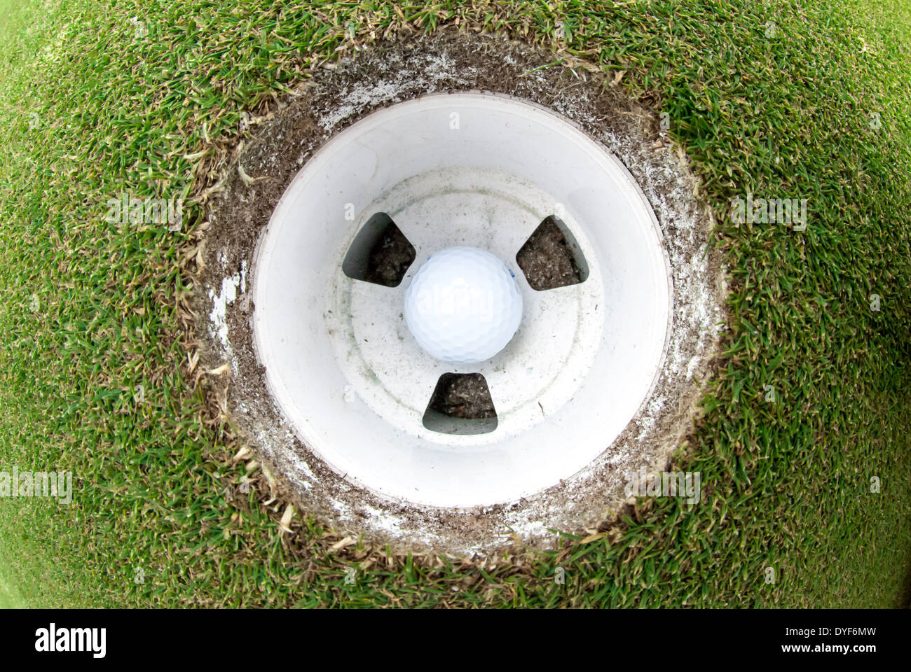 Una vista di una pallina da golf nella coppa preso con un obiettivo fisheye. Foto Stock