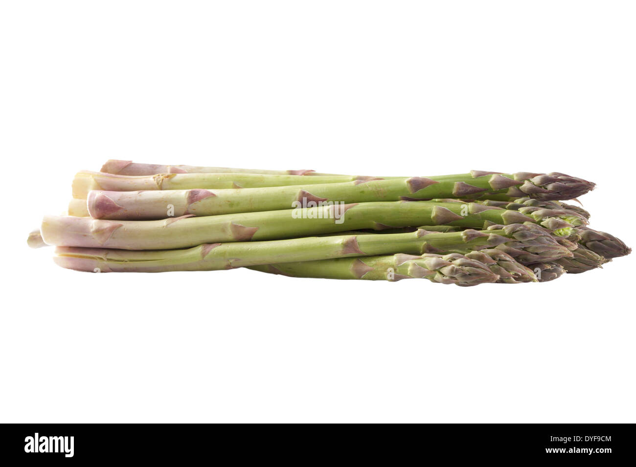 Asparagi verdi Foto Stock
