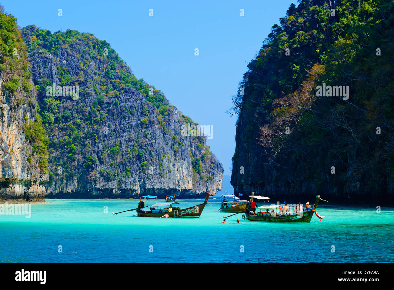 Thailandia, provincia di Krabi, Ko Phi Phi Le isola, Ao Maya Foto Stock