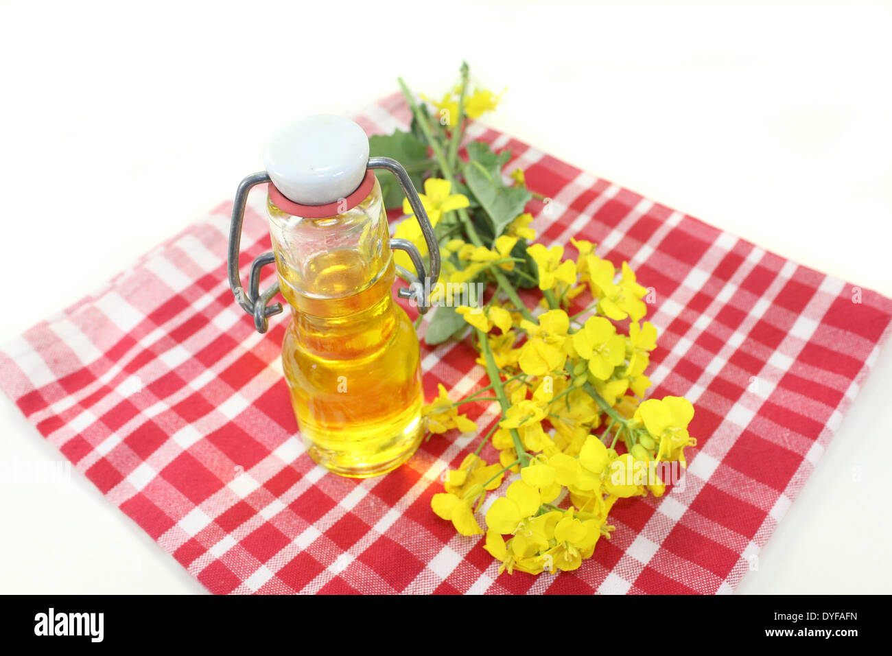 Una bottiglia di olio di semi di colza e di ravizzone fiori contro uno sfondo bianco Foto Stock