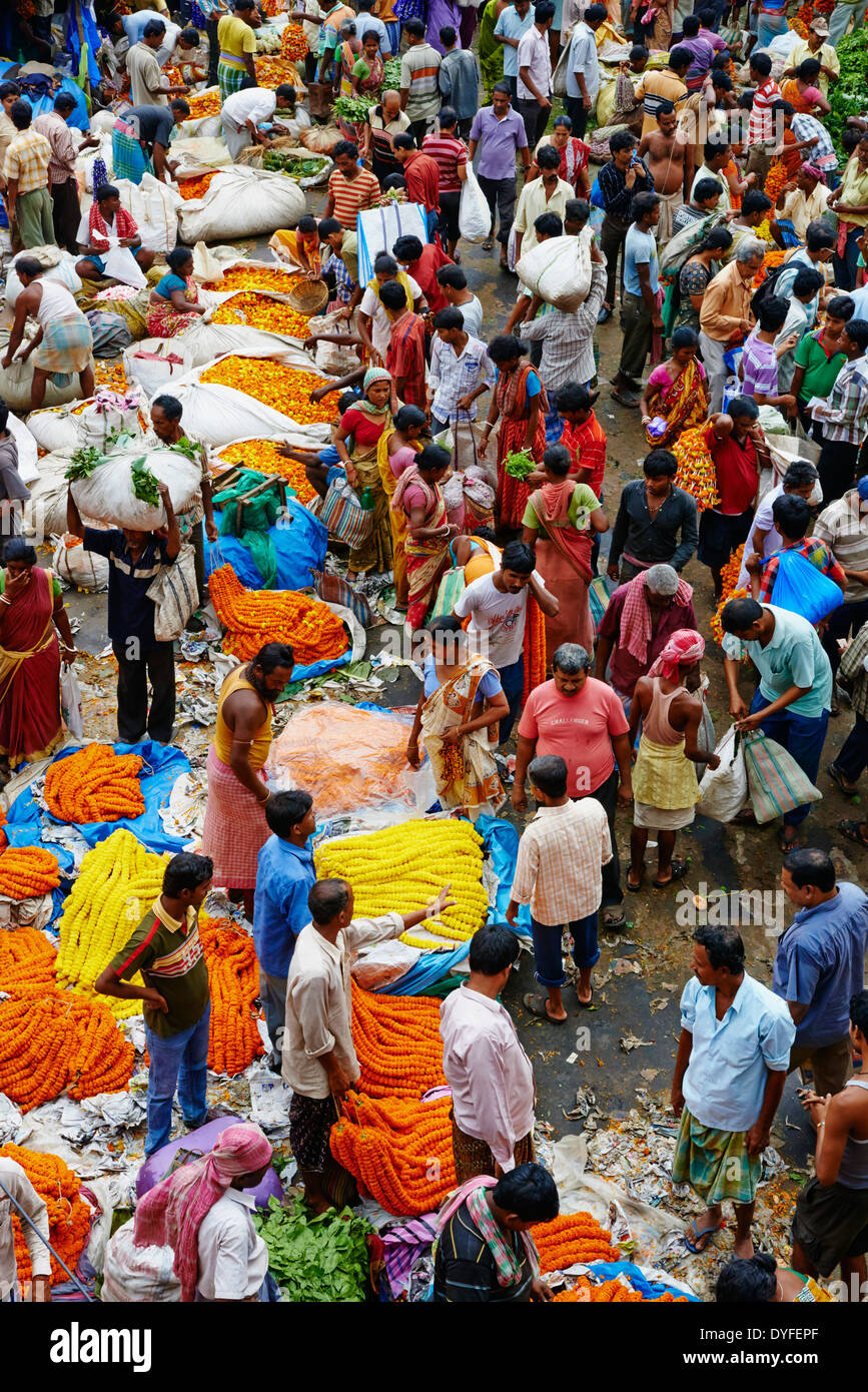 India Bengala Occidentale, Calcutta, Calcutta, Mullik Ghat mercato dei fiori Foto Stock