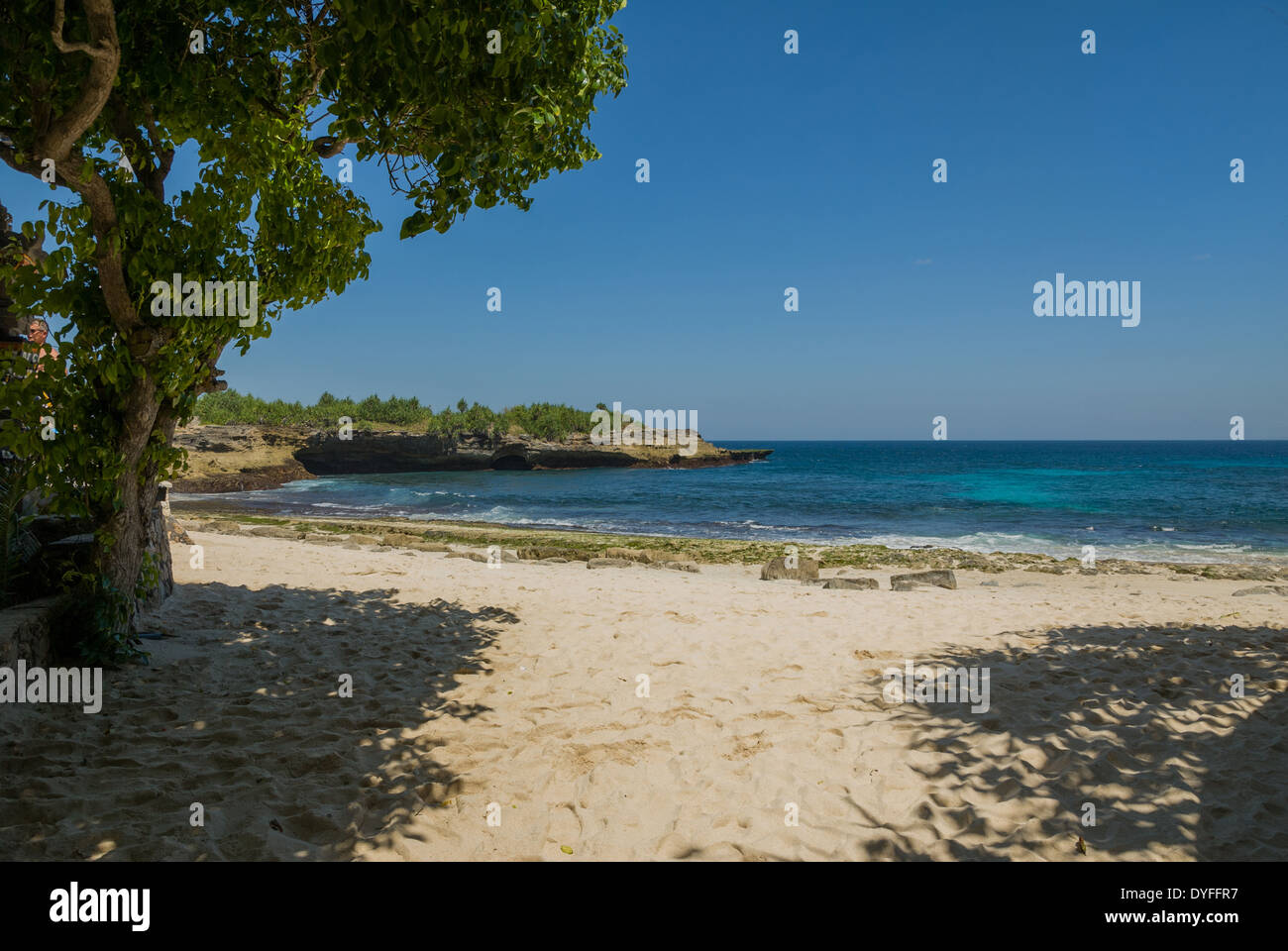 Spiaggia, alberi e mare Nusa Lembongan Thailandia Foto Stock