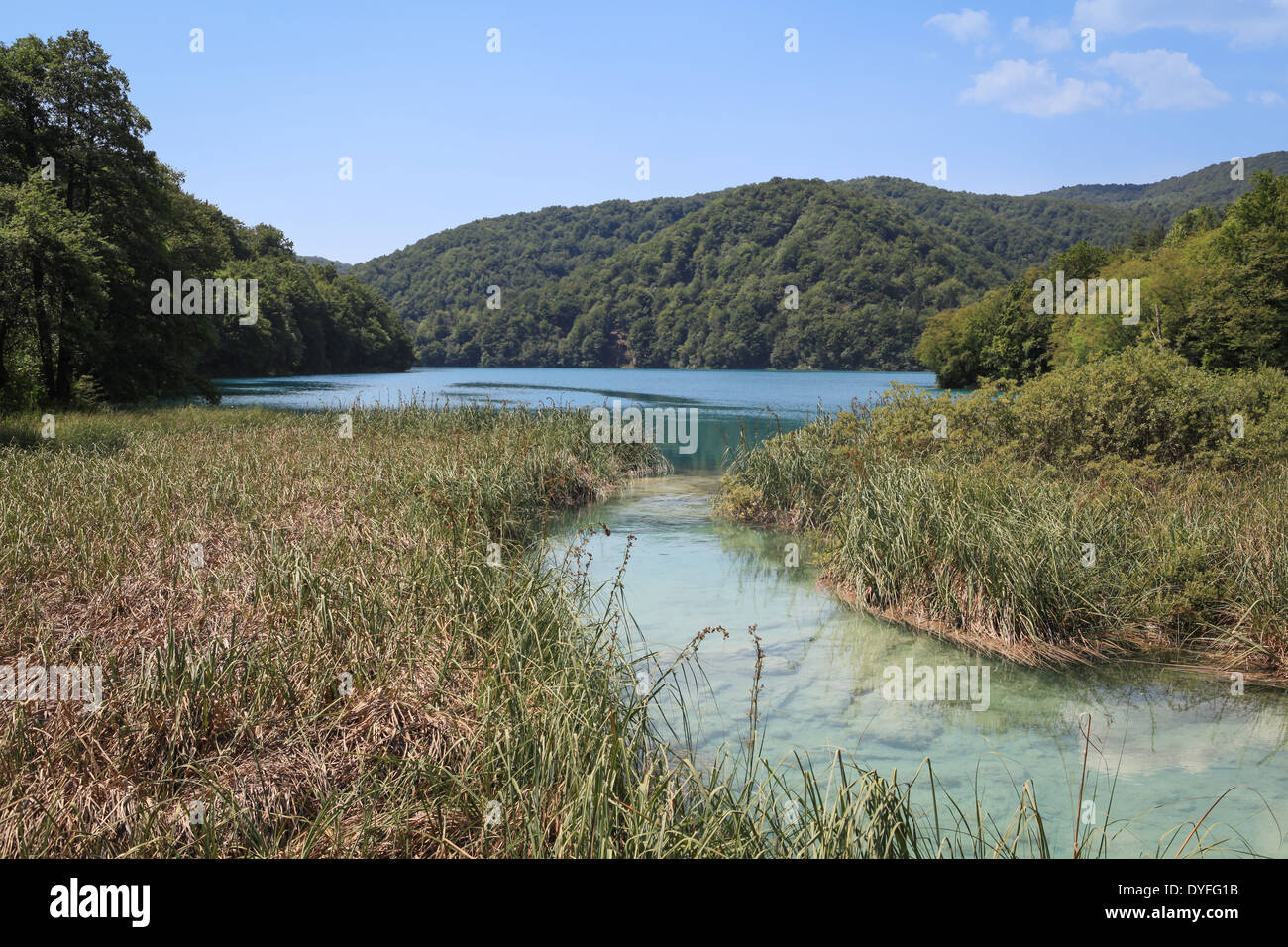 Scenario naturale con acque cristalline in dichiarata patrimonio dell'Umanità dall'UNESCO patrimonio dell'umanità Parco nazionale dei Laghi di Plitvice in Croazia. Foto Stock