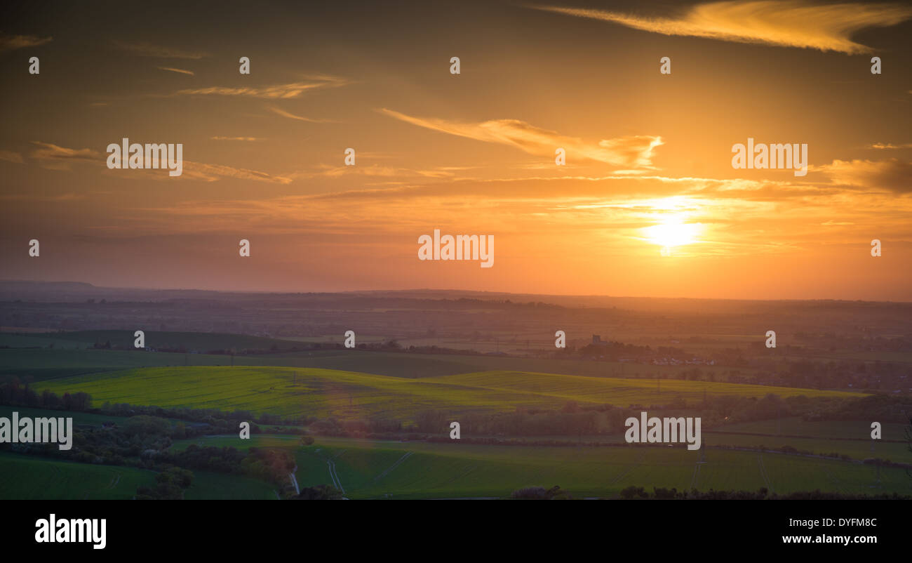 Tramonto, Azienda agricola, Campo, UK, paesaggio e paesaggistici, frumento, recinto, oro, la bellezza e la bellezza della natura, Sky, Scenic, ritaglia Agricul Foto Stock