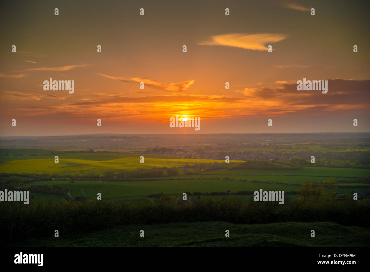 Tramonto, Azienda agricola, Campo, UK, paesaggio e paesaggistici, frumento, recinto, oro, la bellezza e la bellezza della natura, Sky, Scenic, ritaglia Agricul Foto Stock