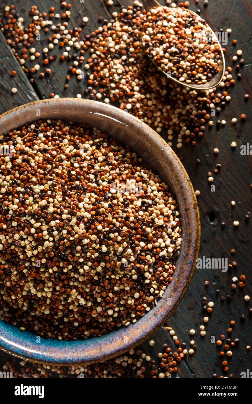 Organico grezzo colorato la quinoa in una ciotola Foto Stock