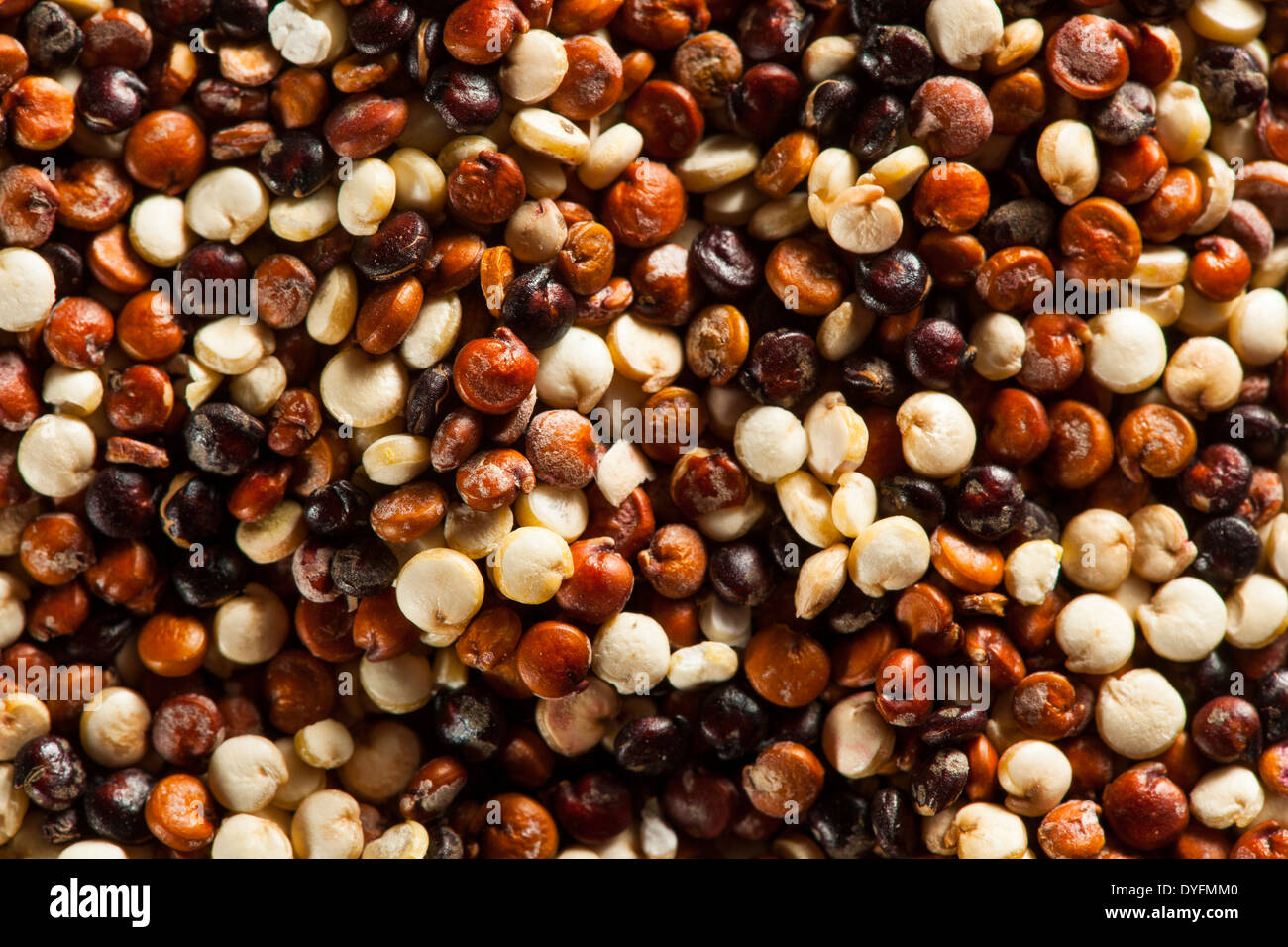 Organico grezzo colorato la quinoa in una ciotola Foto Stock