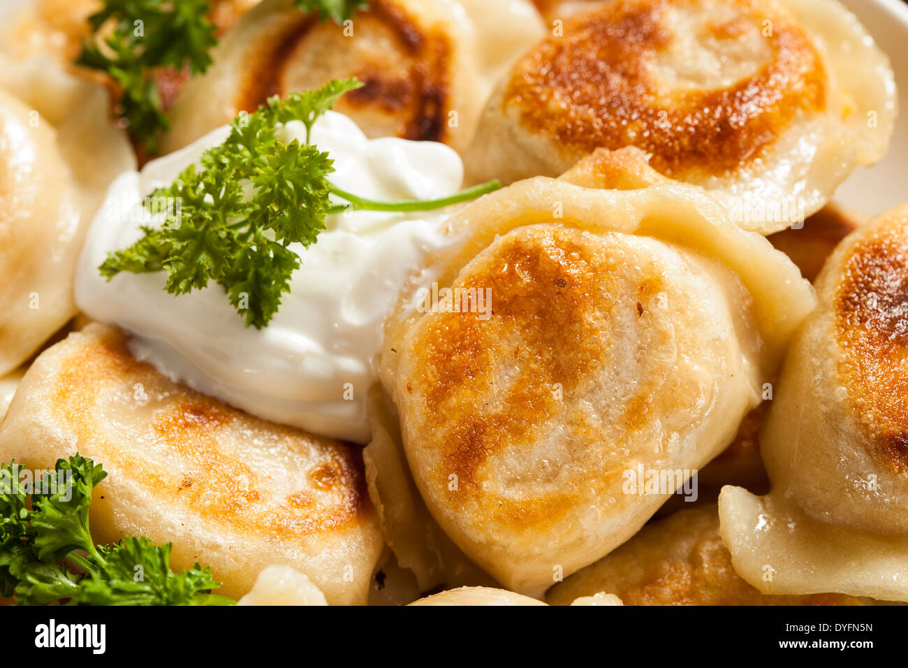 In casa Pierogis polacco con panna acida e prezzemolo Foto Stock