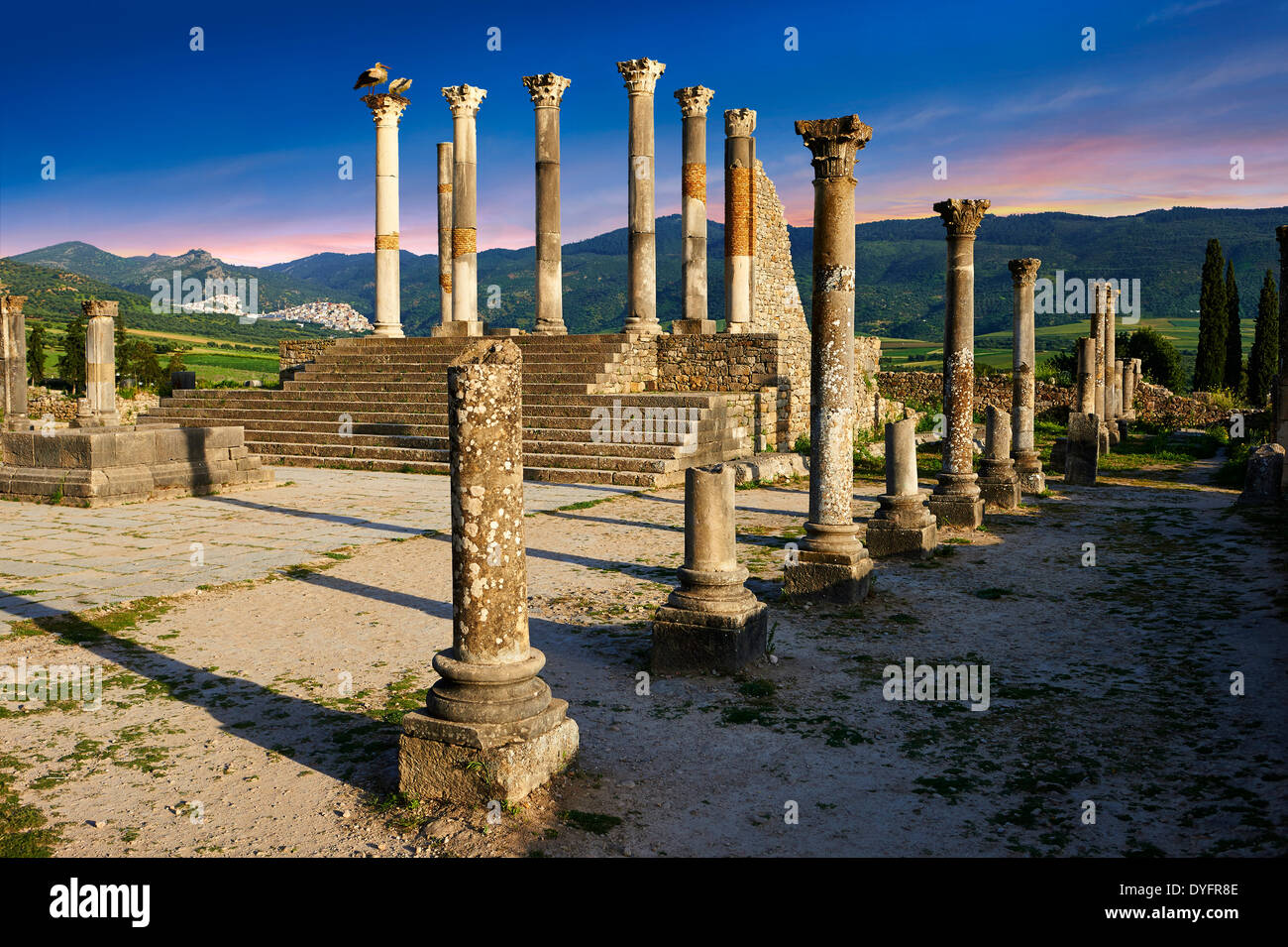 Il Corintian colonne del Tempio Capitolino Volubilis sito archeologico, Marocco Foto Stock