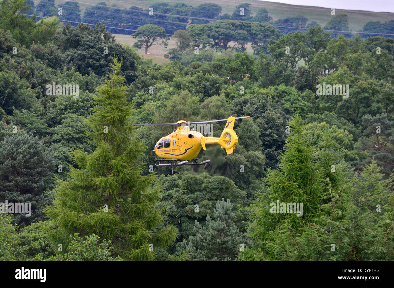 NHS Ambulance elicotteri passando sopra gli alberi all'Dalmuir Campo da Golf Foto Stock