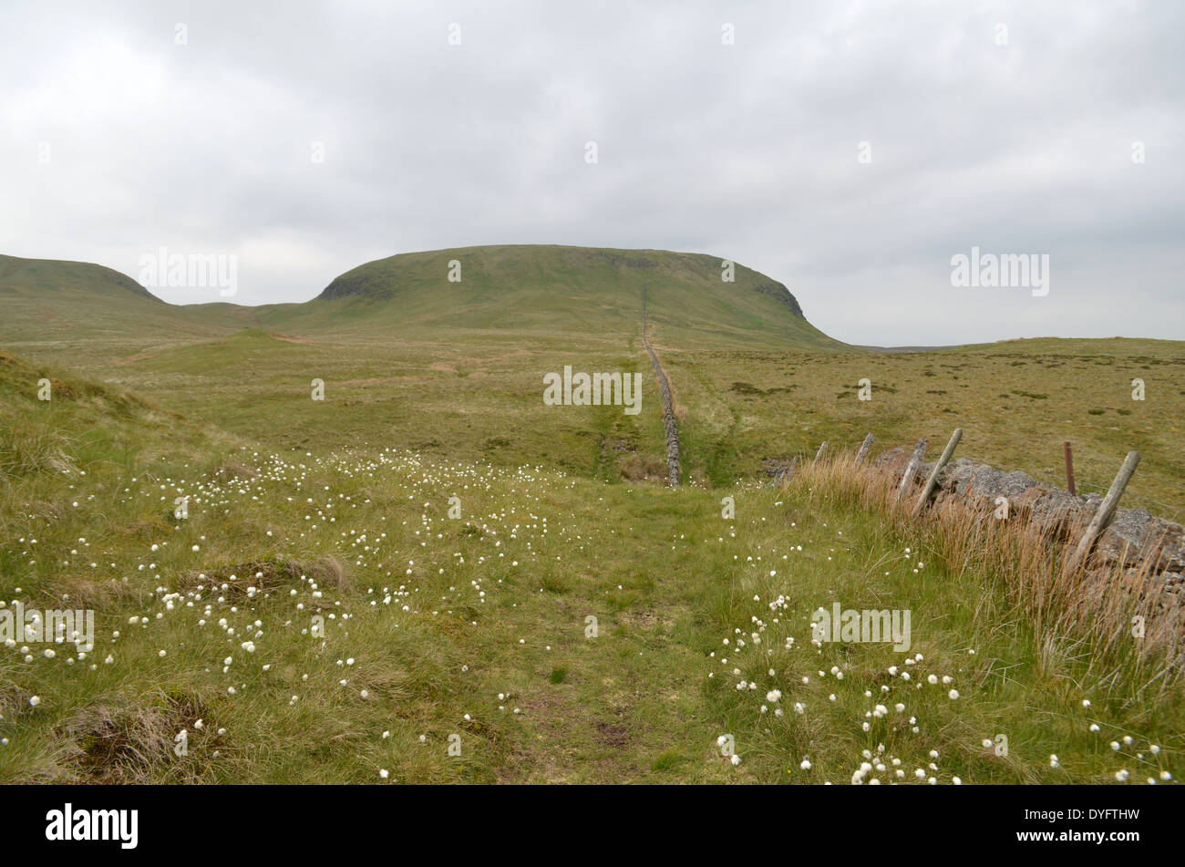 Per una passeggiata in Old Kilpatrick Hills Foto Stock