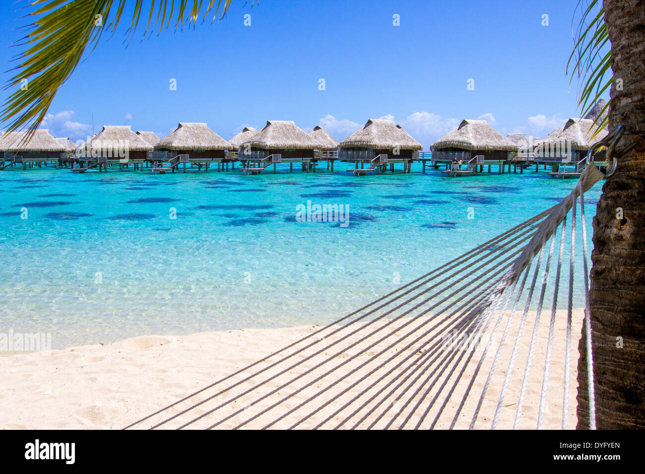 Corda amaca attaccata al palm tree su una spiaggia con bungalow Overwater dalle acque turchesi di Moorea Polinesia Francese Foto Stock
