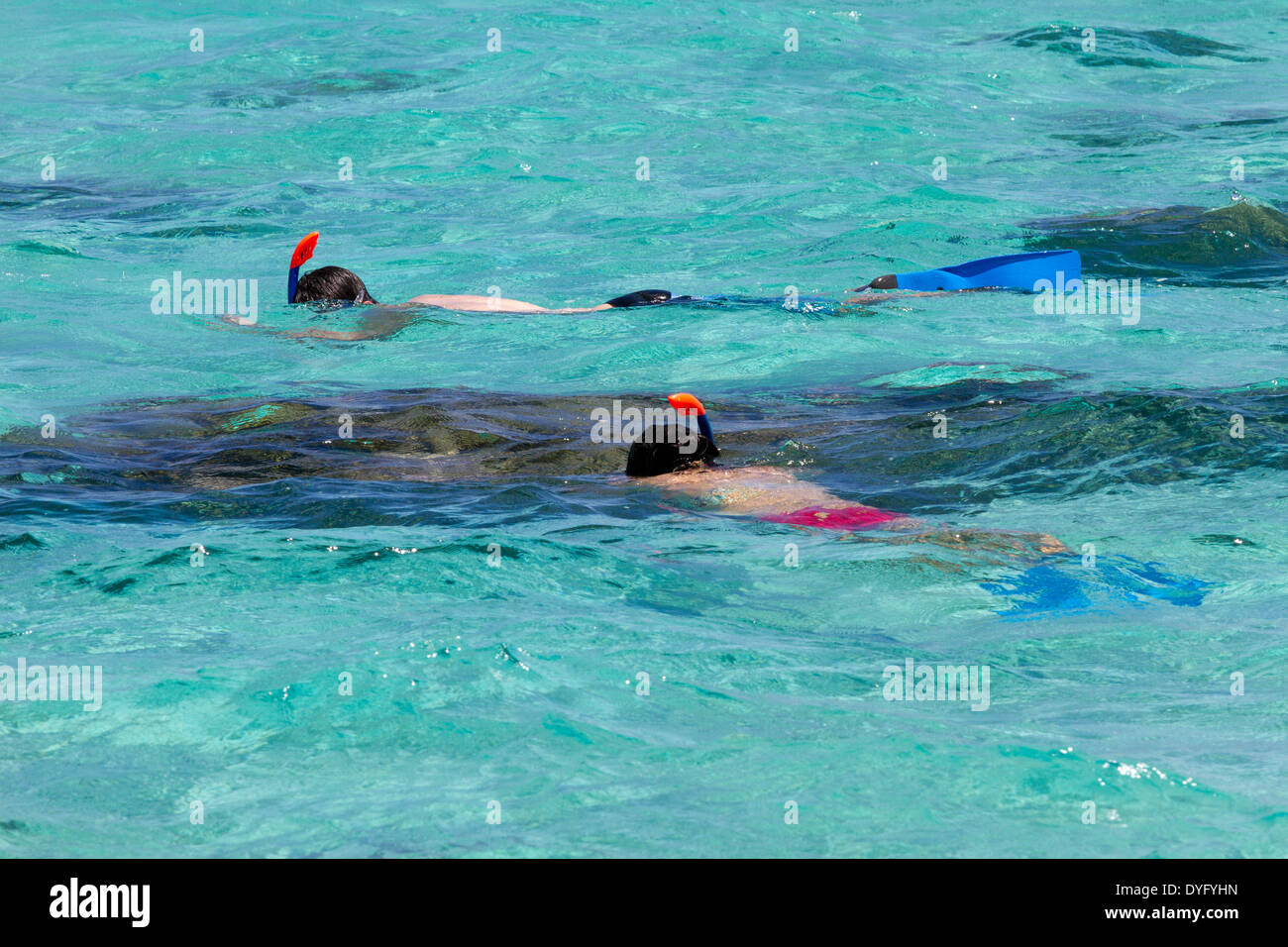 Sposa giovane snorkeling in acque turchesi della Polinesia Francese mentre è in vacanza Foto Stock