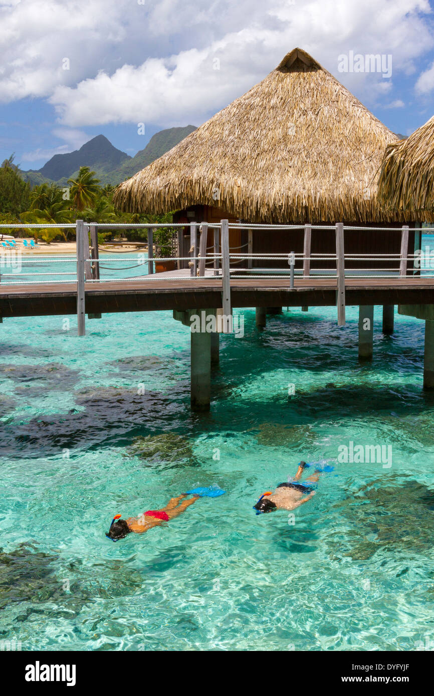 Sposa giovane snorkeling con tetto di paglia bungalow Overwater in vacanza in Polinesia francese Foto Stock