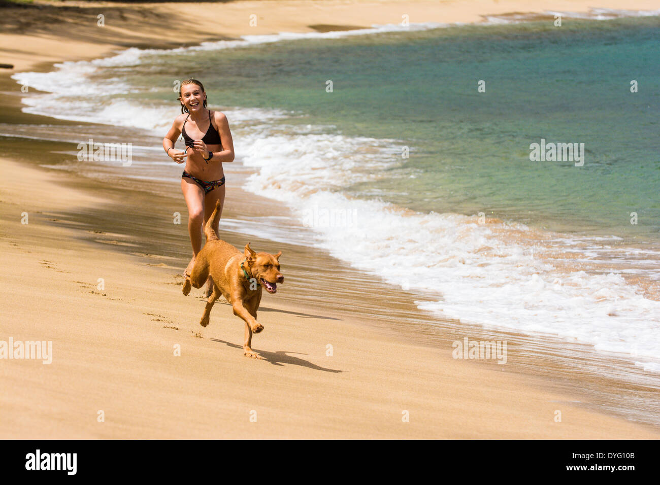 10 anno vecchia ragazza giocando sulla spiaggia con il suo cane, Hanalei, Kauai, Hawaii Foto Stock