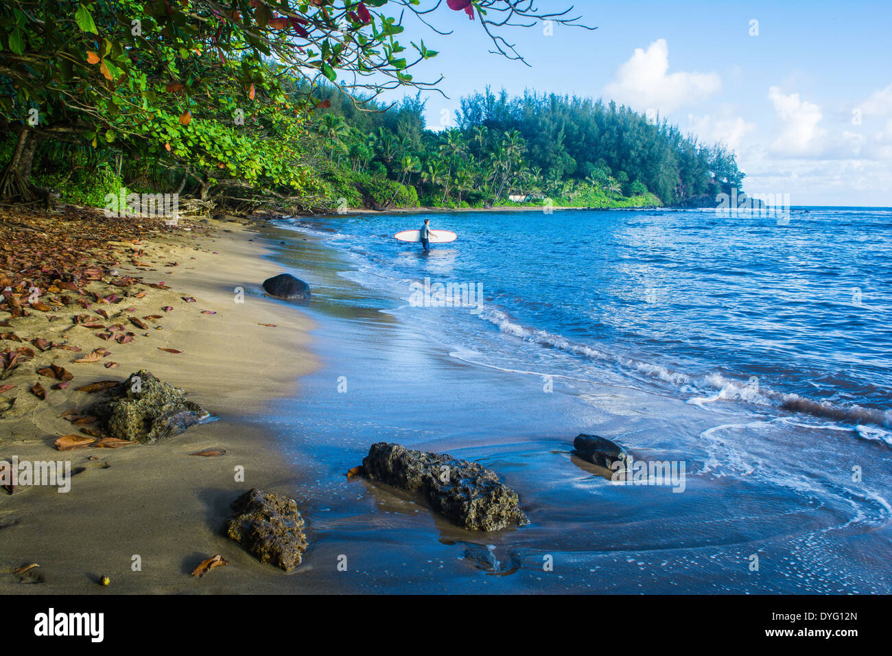 Surfer andando per le onde, Hanalei Bay, Kauai, Hawaii Foto Stock