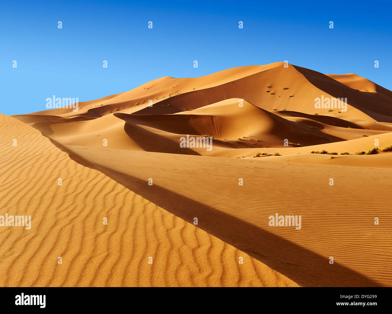 Sahara dune di sabbia di Erg Chebbi Marocco Foto Stock